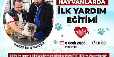 Patili dostlar için hayat kurtaran eğitim