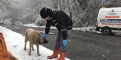 PAZARTESİ SABAHINA DİKKAT