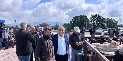 Ramis Topal Gümüşhacıköy Hayvan Pazarında: “Üretici de Emekli de Geçim Sıkıntısı Yaşıyor”