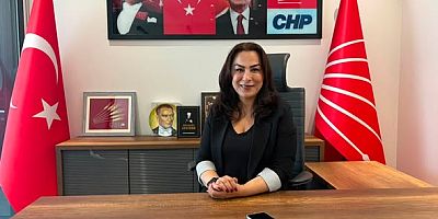 Sıcak Gelişme: Gürsel Tekin'den Yeni Atama! CHP İstanbul İl Kadın Kolları Başkanı Sevgi Düzgün Oldu