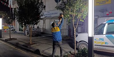 Silivri Belediyesi Ağaç Budama Çalışmalarına Devam Ediyor