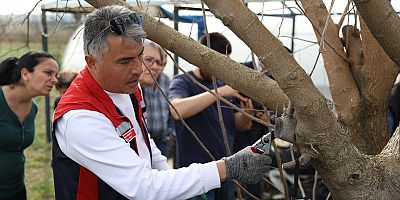 Silivri Belediyesi Budama ve Aşılama Teknikleri Eğitimi Verdi