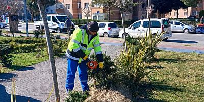 Silivri Belediyesi çevre düzenleme çalışmalarını sürdürüyor