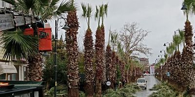 Silivri Belediyesi Kışa Hazırlık Çalışmalarına Devam Ediyor