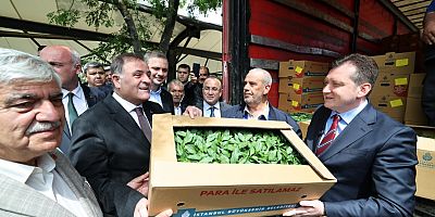 Silivri’de Üretime Tam Destek: Yazlık Fide Dağıtımı Gerçekleşti