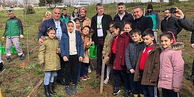 Sultangazi Mimar Sinan Şehir Ormanı’na 417 Fidan Dikildi 