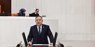 TBMM BÜTÇE GÖRÜŞMELERİ... GÖKAN ZEYBEK: 