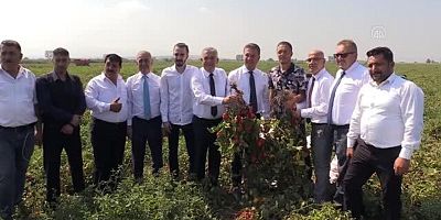 TDP Genel Başkanı Sarıgül, Karacabey'de domates üreticileriyle bir araya geldi Açıklaması