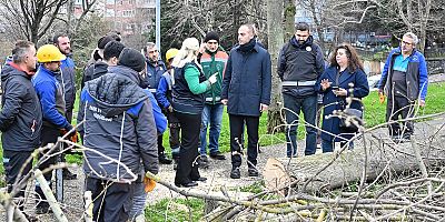 TEKE BÖCEĞİ İLE MÜCADELE KAPSAMINDA YEŞİL DÖNÜŞÜM