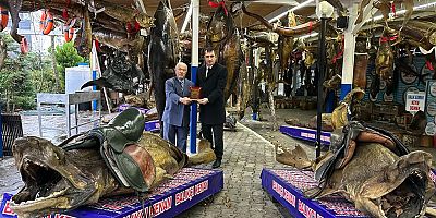 TÜRKİYE DENİZ CANLILARI MÜZESİ ÖDÜLE DOYMUYOR