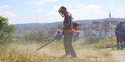 Yabani Ot Temizliğiyle Yangın Riskini Azaltıyor, Çevremizi Koruyoruz
