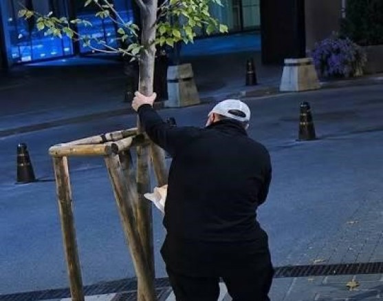 Tekin Seyrekoğlu’ndan Ağaç İddialarına Sert Yanıt: “Hakkımdaki İddialar Gerçek Dışıdır”