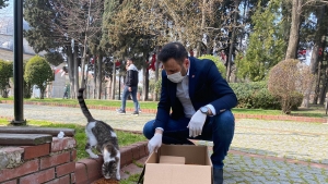 CHP Bahçelievler Sokakta Yaşayan Can Dostlarını Unutmadı!